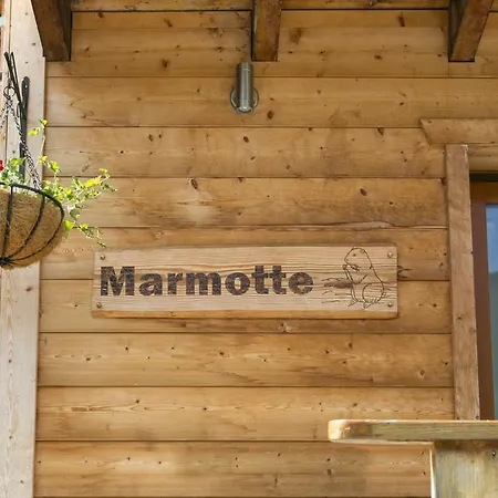 Marmotte M1 Penthouse For 8 * Morzine